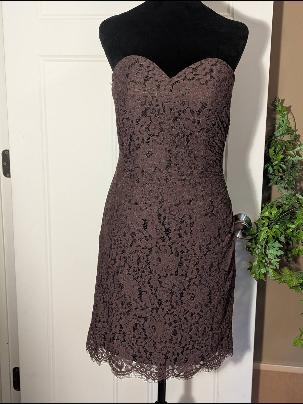 Christina Wu Strapless Lace Cocktail Dress in Brown. Size 4.
